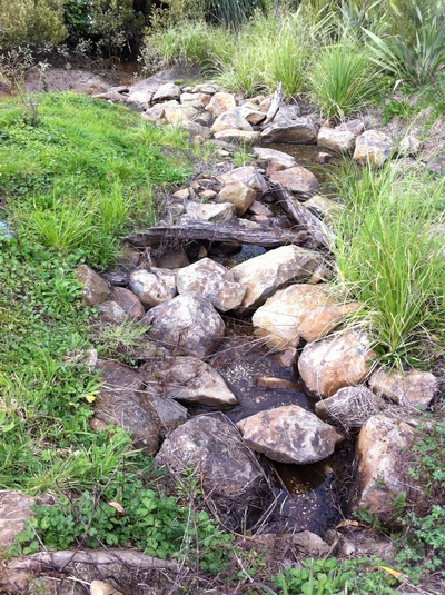 Dragonfly springs fish pass..