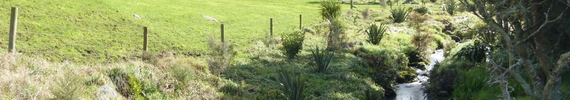 Fenced riparian waterway. 