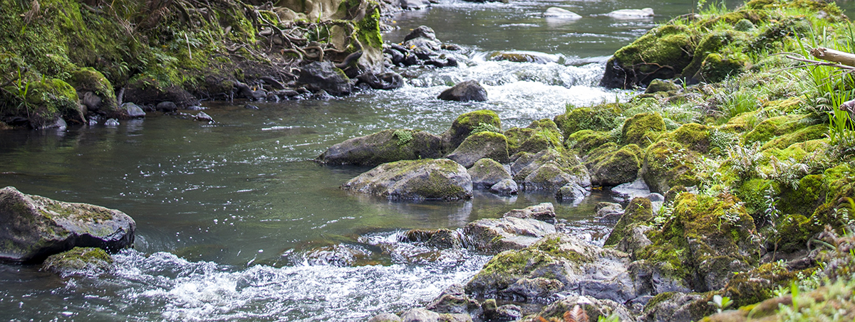 Freshwater river.