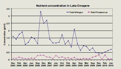 Graph of nutrient concentration in Lake Omapere.
