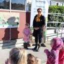 Three achieve coveted Green-Gold Enviroschools’ status