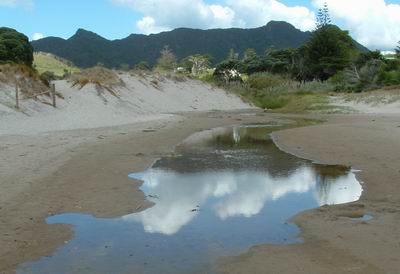 Ocean Beach Stream.