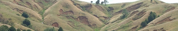 Severe erosion on hillside. 