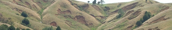 Severe erosion on hillside.