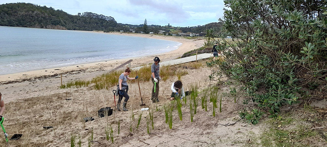 Planting Matapouri working bee August 2022
