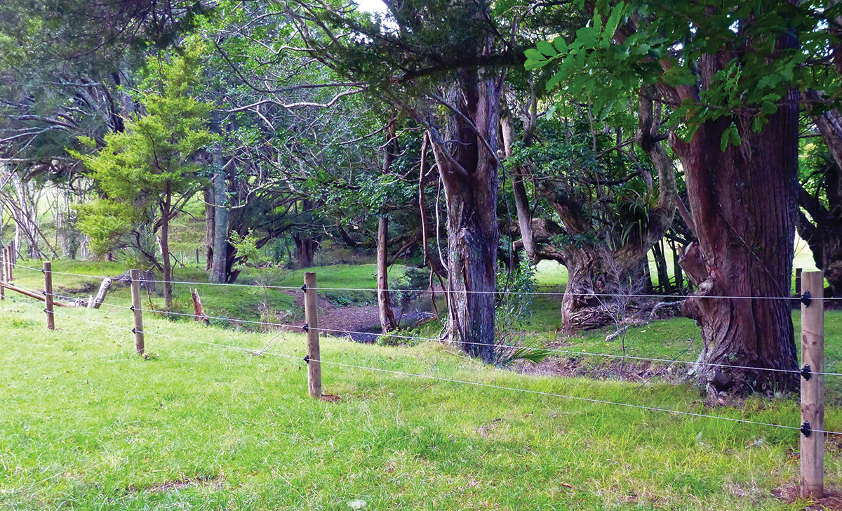Three-wire fence by a stream.