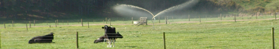 Spray irrigation on farm land.