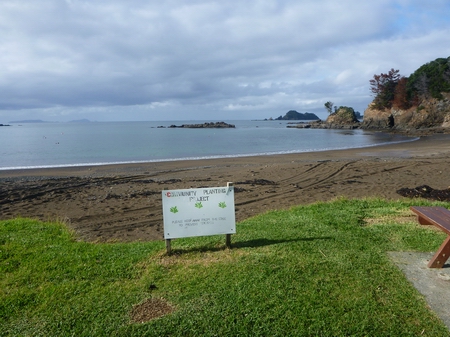 Brookers - Mangati Bay. 