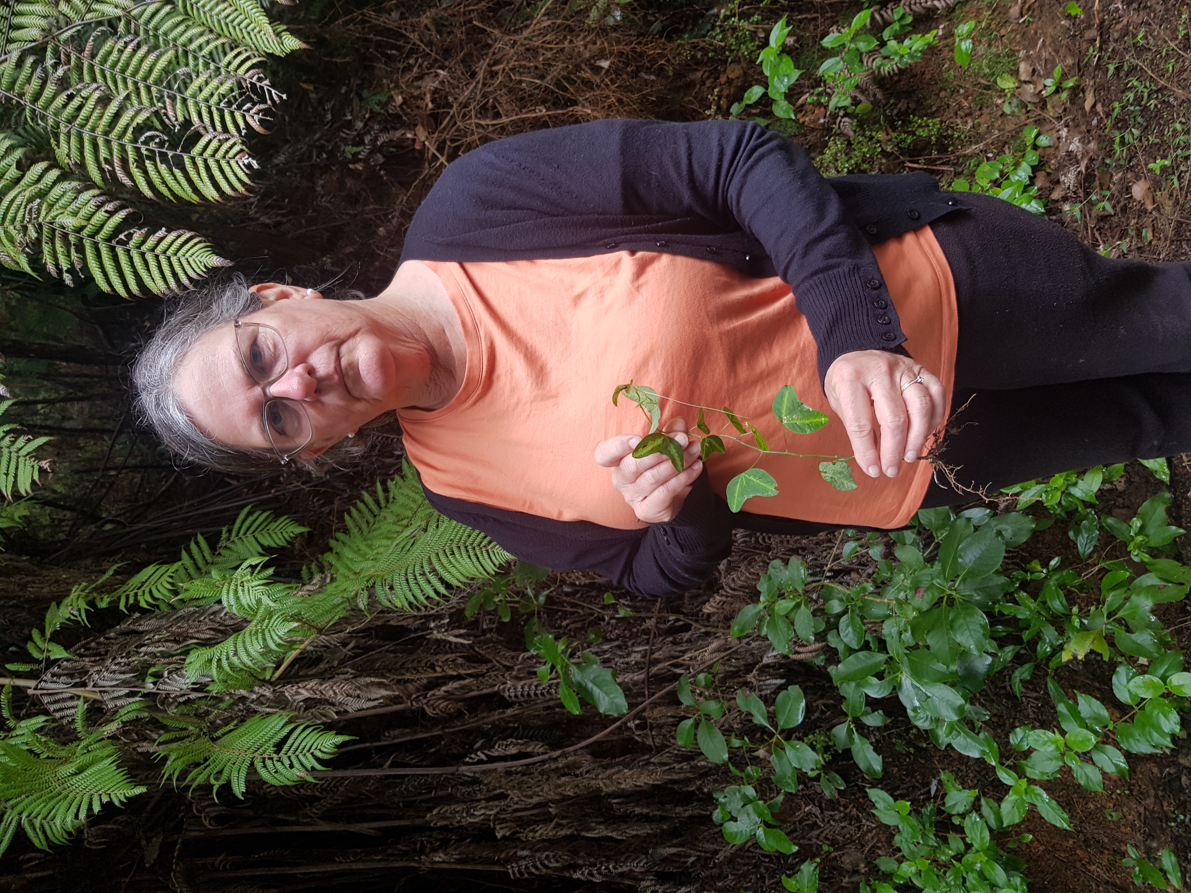 Eileen Alexander with the young bat-wing passion flower found on her Whangarei Heads property.