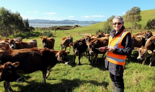 Land Management Advisor Lorna Douglas in a paddock with cows.