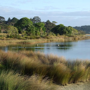 Lake Ngatu