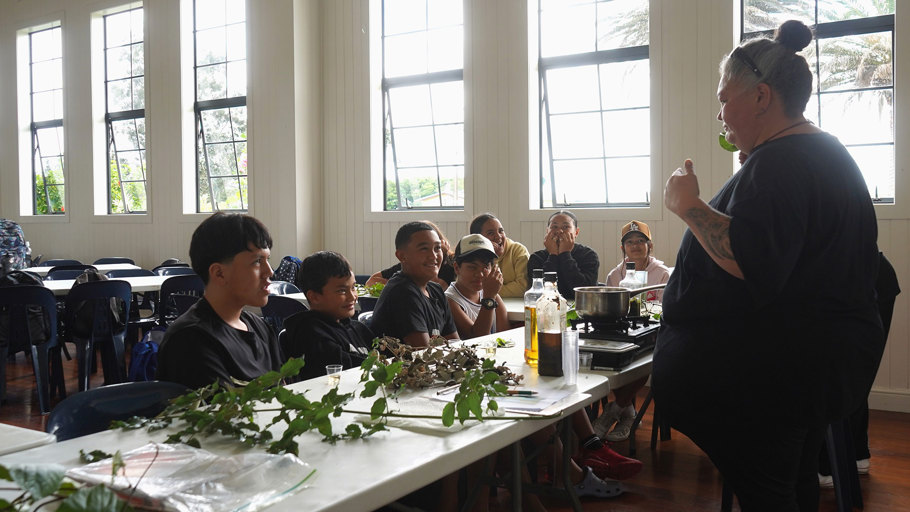 Learning about rongoā Māori