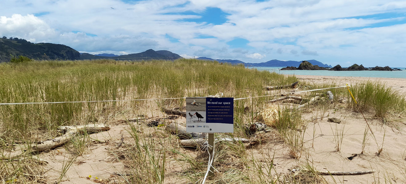 Tauranga Bay.