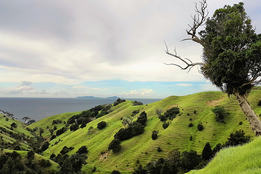 Erosion prone land.