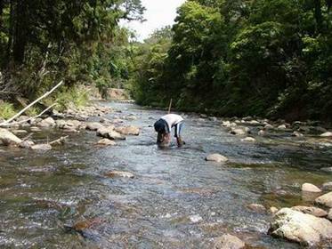 Photo of staff carrying out macroinvertebrate monitoring.