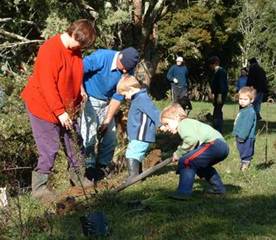 Group of Landcare members digging out weeds.