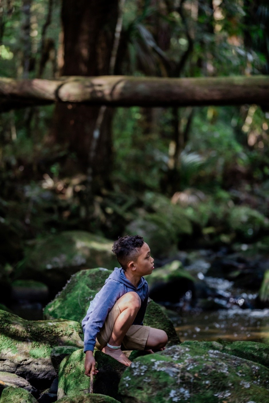 Boy sitting on a rock in a stream.