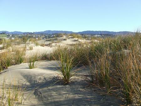 Tern Point Conservation and Recreation Society. 