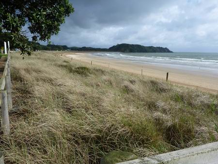 Taipa Beach Improvement Society 2013. 
