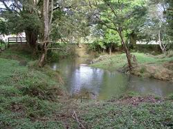 Mangahaharu at Main Road.