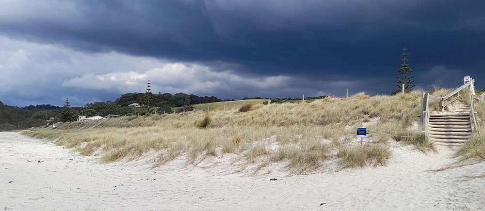 Waipu Cove after dune restoration work.