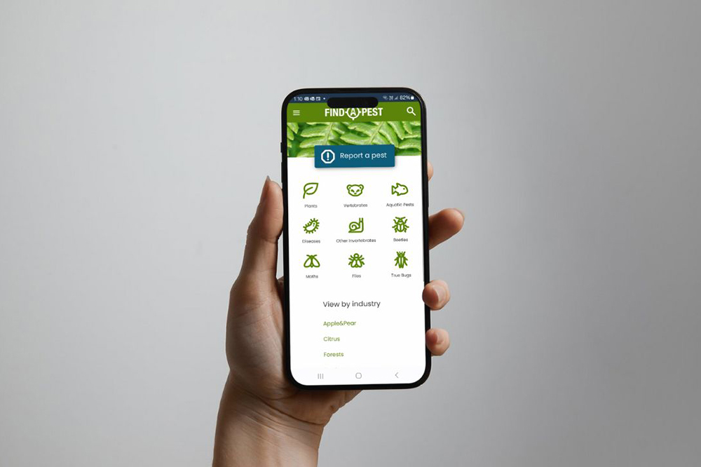 Hand holding a smartphone displaying the Find a Pest app.