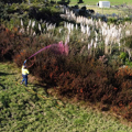 Agrichemical spray