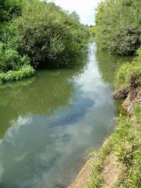 Photo of Awanui River.