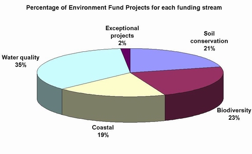Pie chart showing percentage of Environment Fund projects.