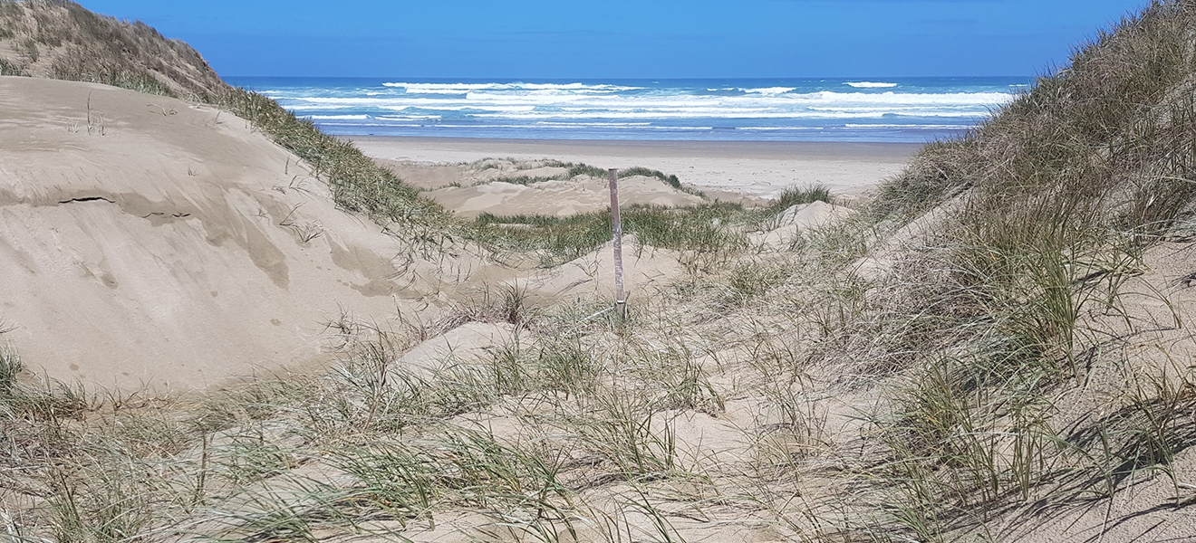 Hukatere - 90 Mile Beach.