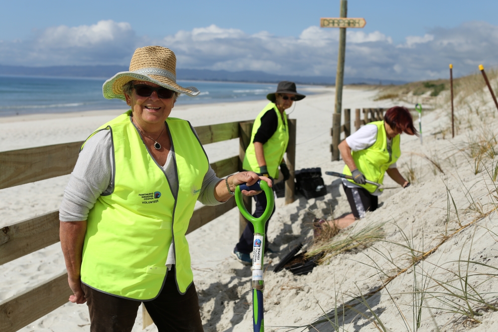 Women planting coastal dune plants.