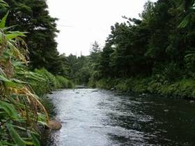 Photo of Kaihu River.