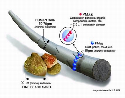 Description: Figure 52: Particulate matter10 size. 