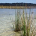 New Kai Iwi Lakes bylaw adopted