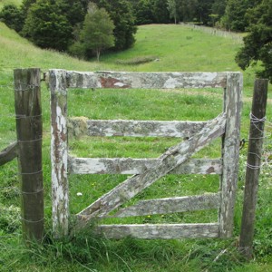 Small Gate (400)