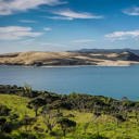 $300,000 to develop Hokianga Harbour remediation business case