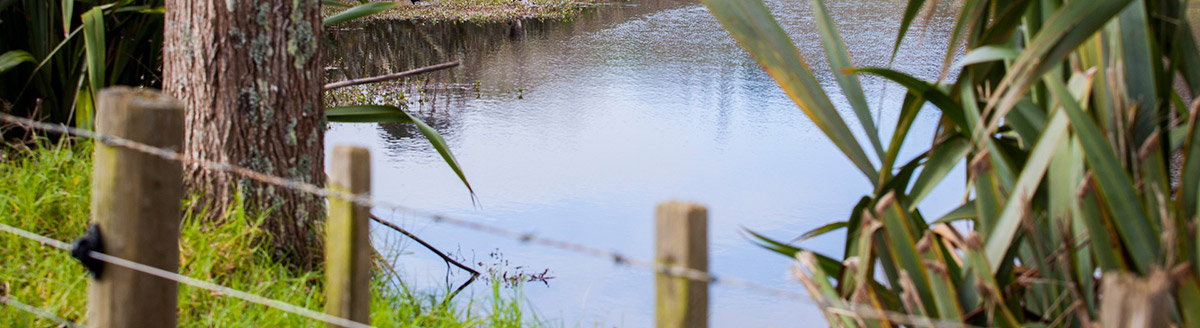 Fenced waterway.