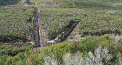 Description: A wetland with newly dug drains. 