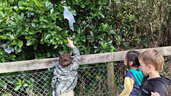 Child Pointing Web