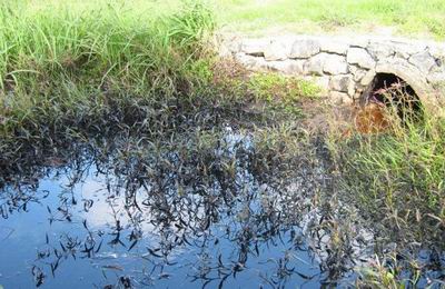 Oil spill into a stream.