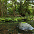 Reports and recommendations from Tangata Whenua Water Advisory Group