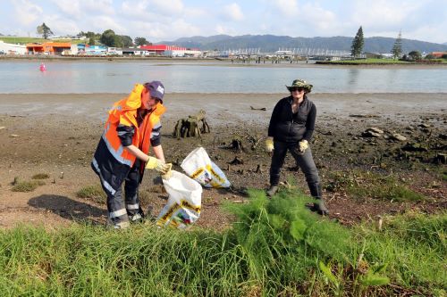 A picture of two people collecting litter along the Hatea River in Whangarei.