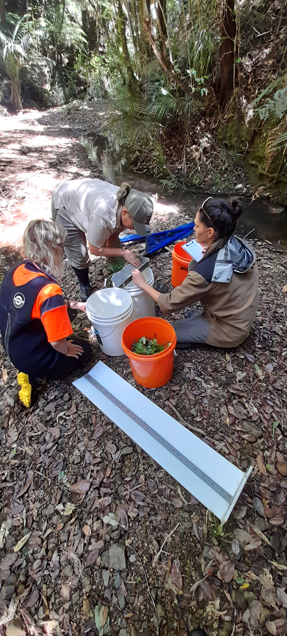 Three women in native bush with surveying gear.