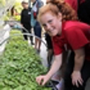 Far North, Kaipara, Whangarei, host Enviroschools expos