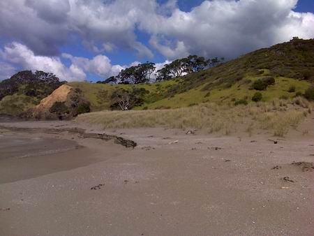 Te Pahii Bird Sanctuary. 