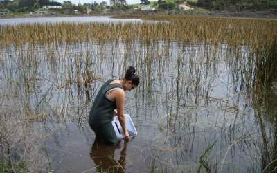 Sampling lake water.