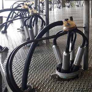 Dairy Shed (S) (400)