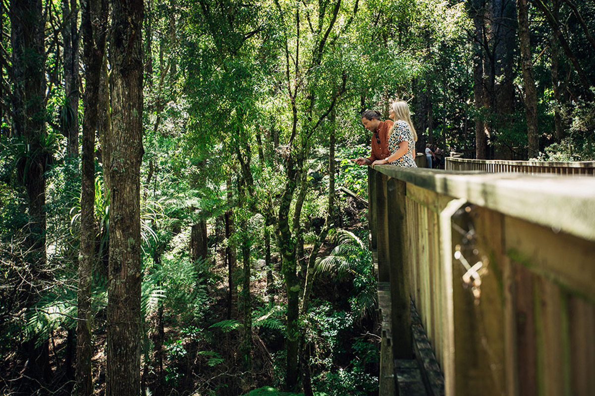 Waipū Coastal Walkway - Whangarei District Council