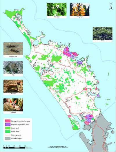 Existing Community Pest Control Areas in Northland.