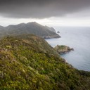 $4 million grant for ambitious predator free BOI goal